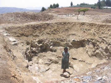Yeshimebet Kifle dug this water collection pit by hand with some help from her husband.  She has started to grow carrots, onions, and beets